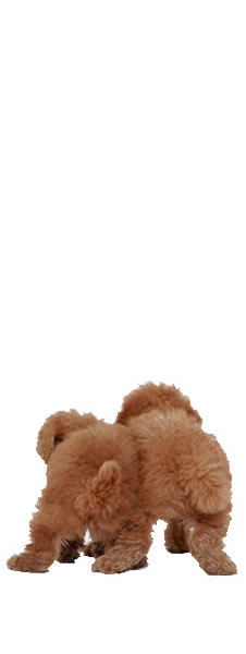 ���^�����p